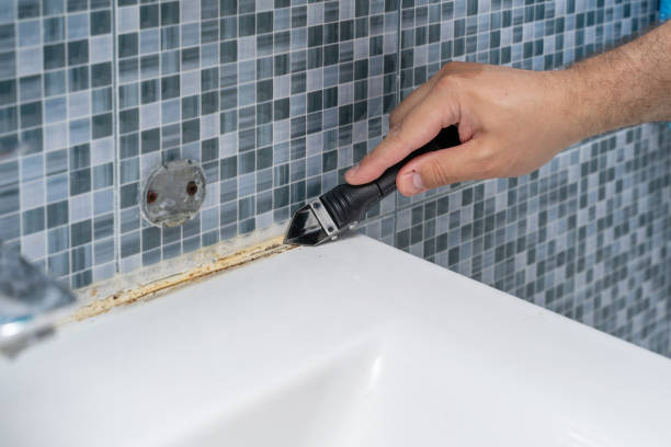 Best Black Mold Removal  in Watauga, TX