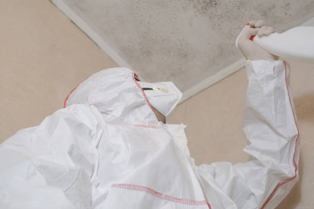 Best Local Mold Removal Service  in Watauga, TX