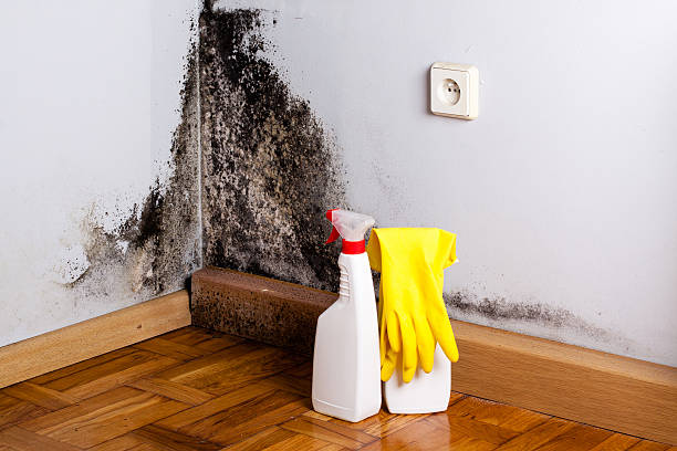 Best Crawl Space Mold Removal  in Watauga, TX